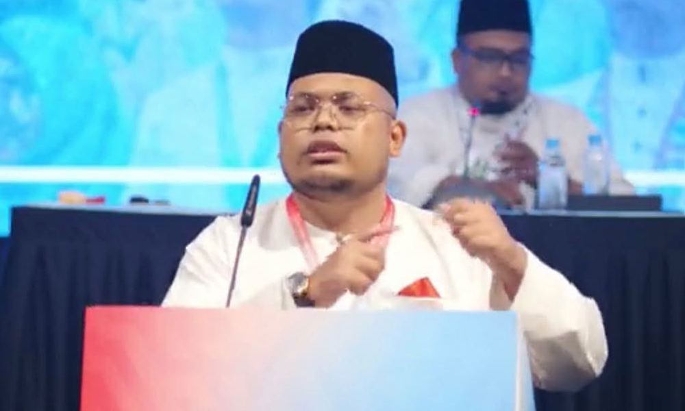 PKR Youth defends PAA review application, says PM not involved