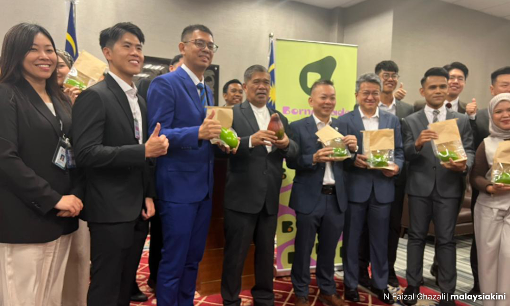 Menteri agih 300 biji avokado tempatan untuk wakil rakyat, media 1 5c65db7739cc8b9a42aebd144aef4203