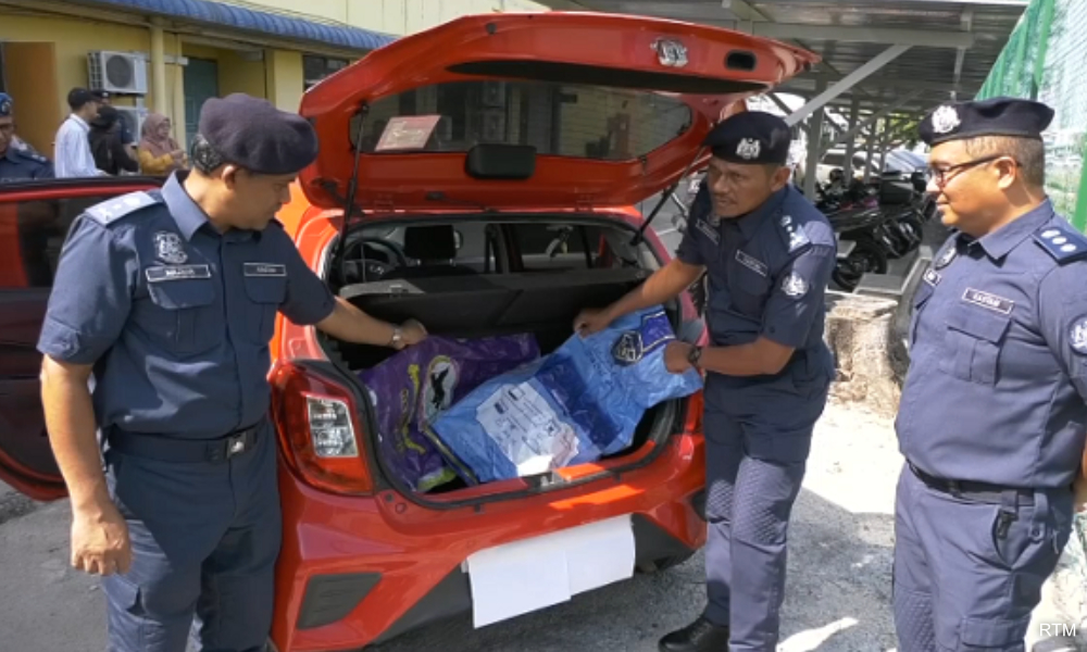 Penang Customs seizes ganja buds worth over RM5m