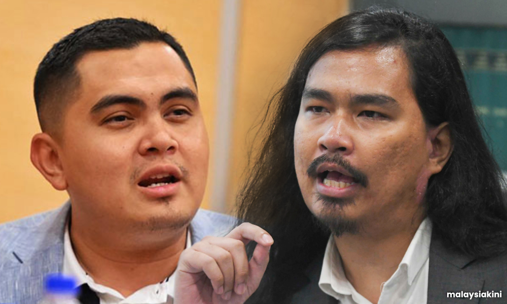 'Traitor!' 'Coward!': Akmal, Zaid diss each other over flag blunder rallies