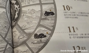 story image