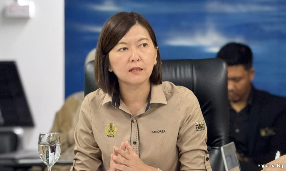 Perak plans to establish temporary shelters for stray animals - exco