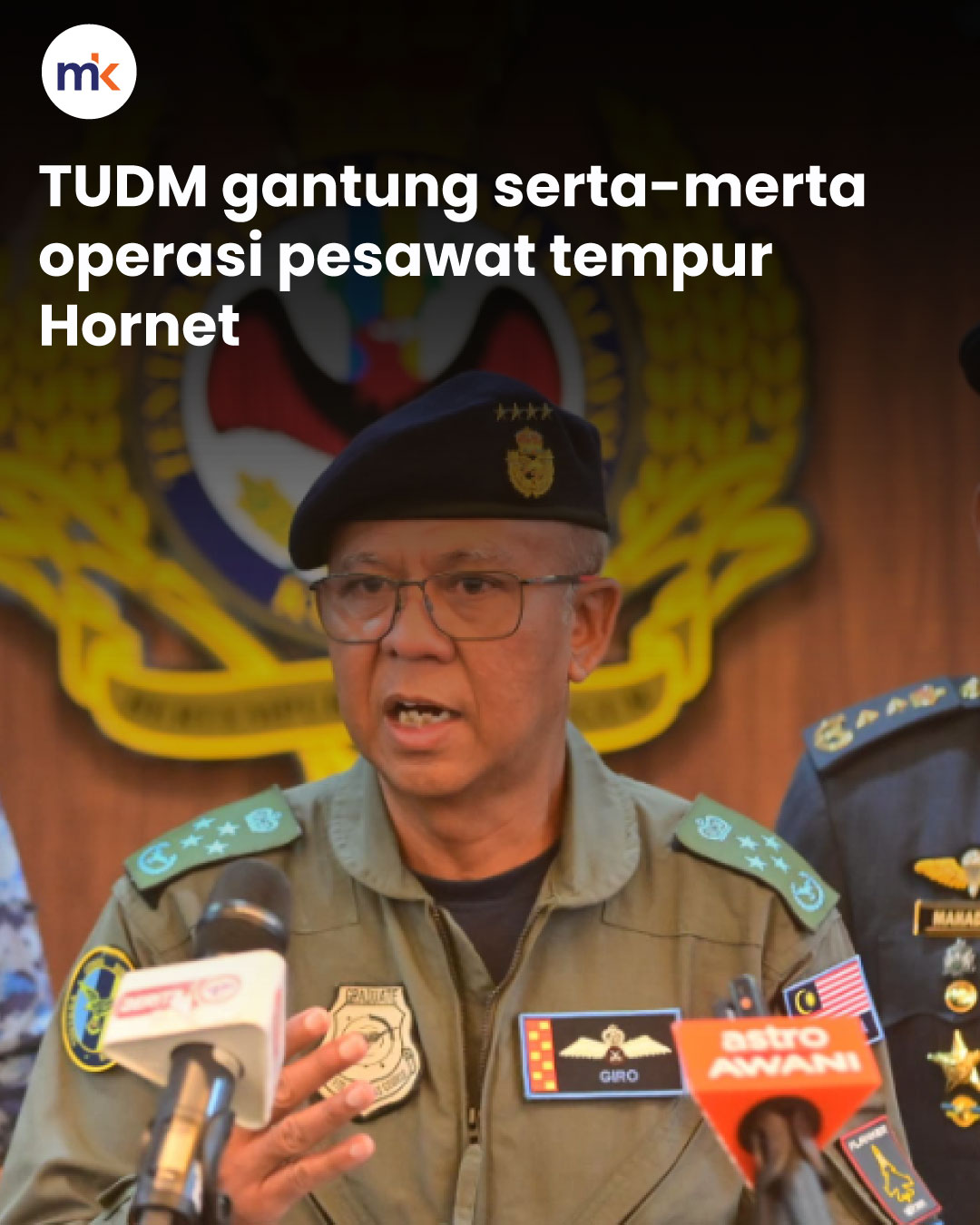 TUDM gantung serta-merta operasi pesawat tempur Hornet