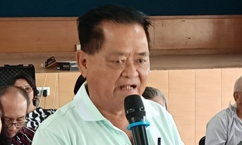 N Sembilan DAP veterans apologise for 'sanitary pad mask' protest