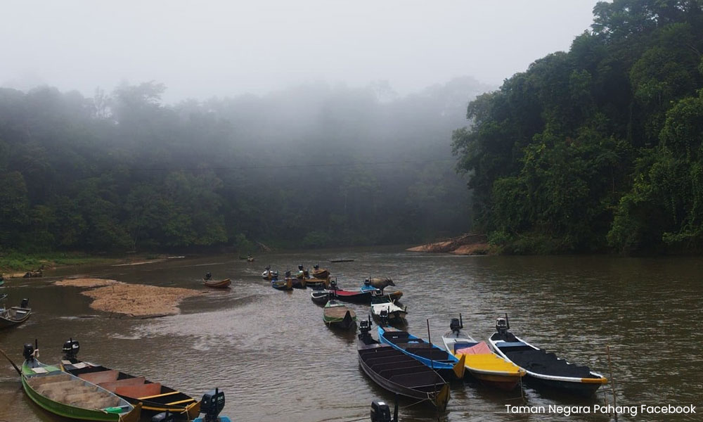 Jualan petrol subsidi di Kuala Tahan 'tertangguh' 2 02db8685ee2419fa73780061fa702add