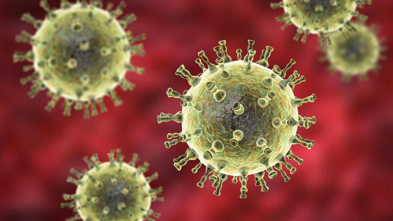 What is RSV, and the importance of maternal immunisation