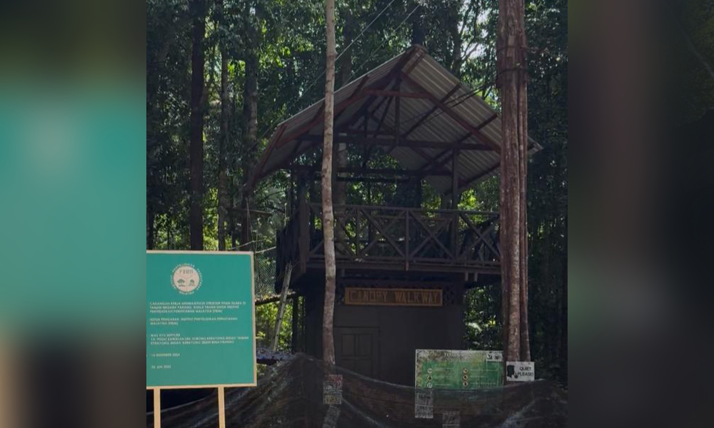 Jambatan gantung Taman Negara dipertikai 2 55c7574769e1225734efa8a37693eef1