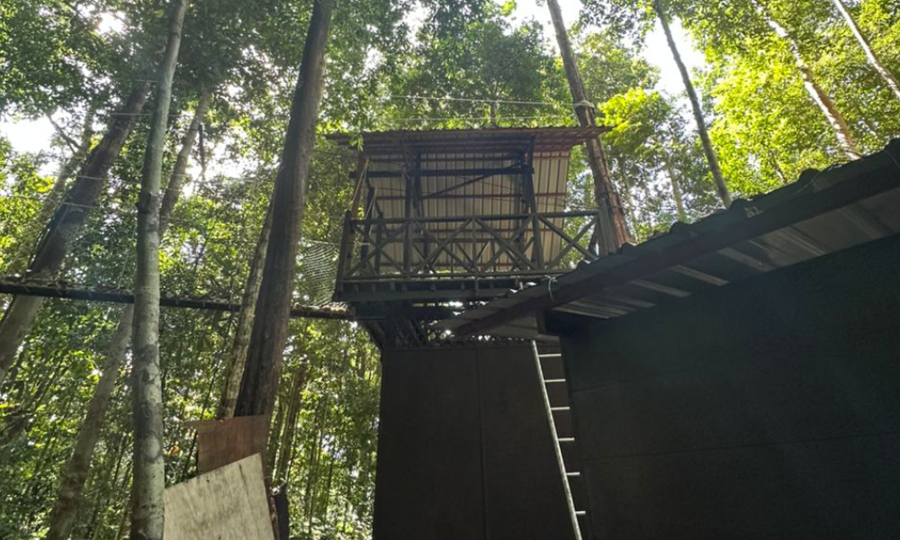 Jambatan gantung Taman Negara dipertikai 1 5b7ac5044b49635760628e4719be6722