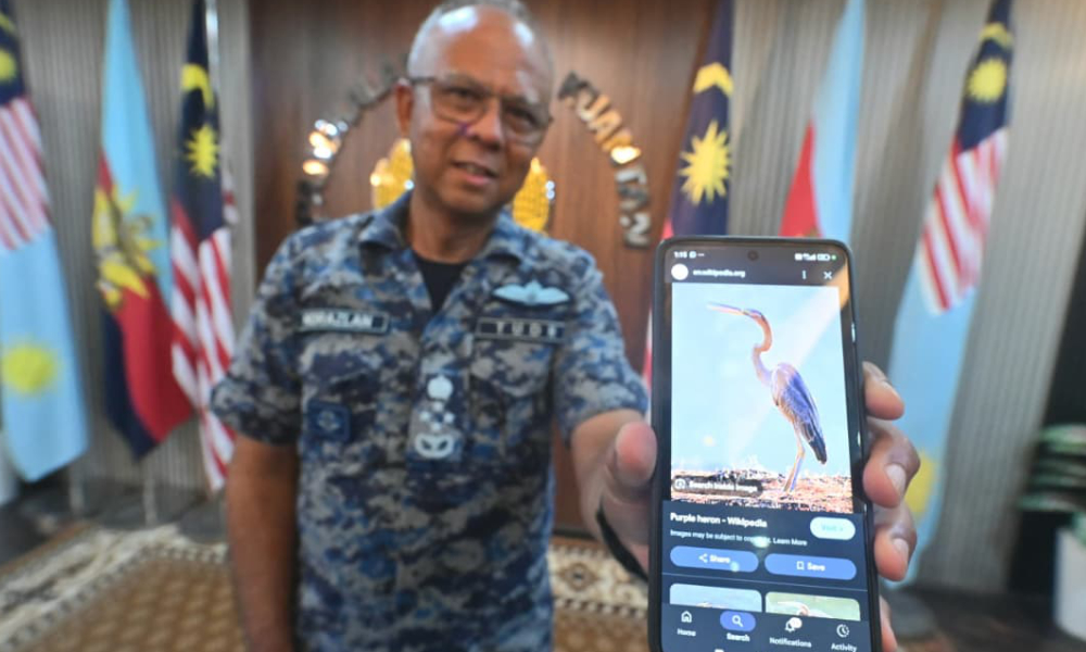 Bird strike caused jet crash at Kuantan air base, says RMAF chief