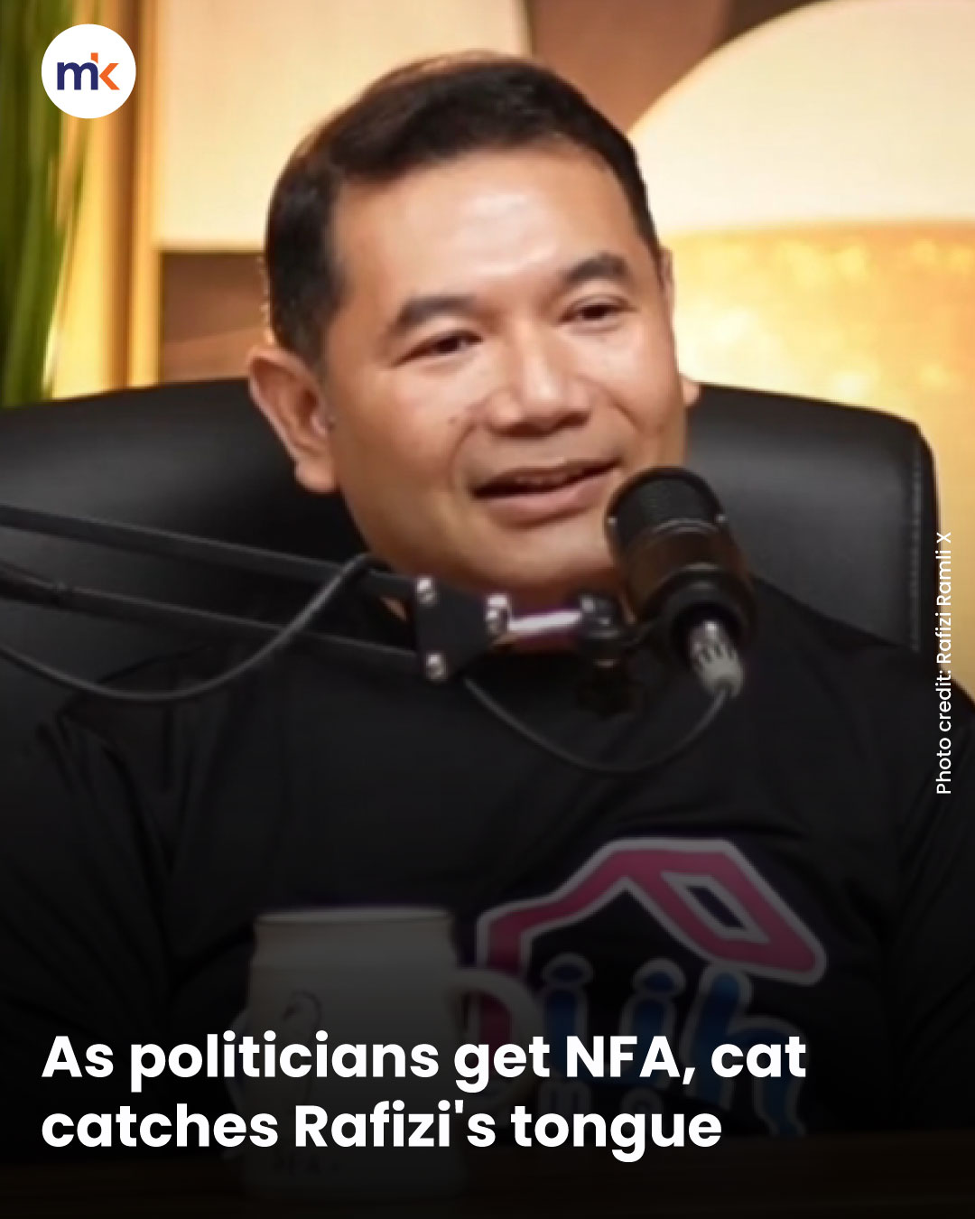 As politicians get NFA, cat catches Rafizi's tongue