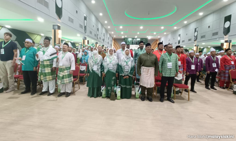 Wakil Pulau Pinang dakwa DAP, Gerakan 'jarah' kampung Melayu