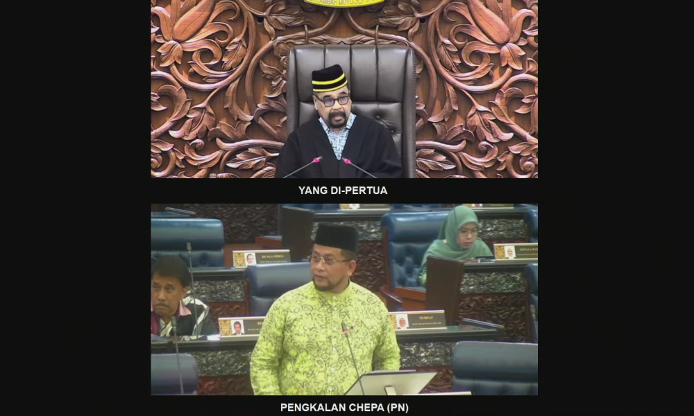 ‘Jangan melampaui batas’ - Ramli tegur MP PAS bahas isu kaum
