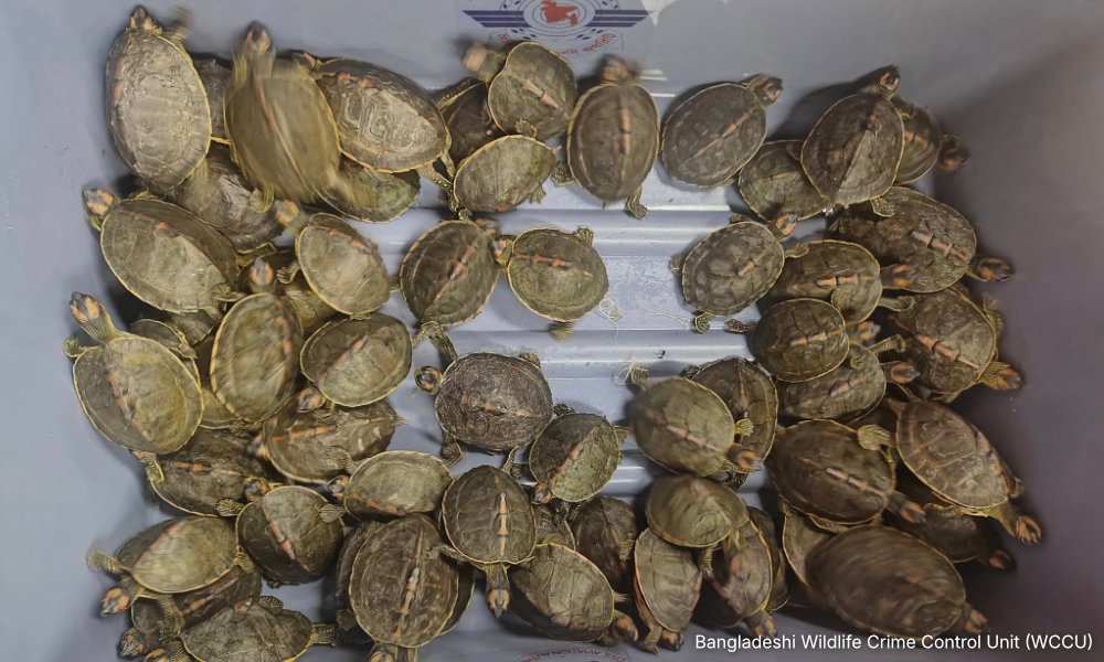 37d681ad25620d035ebc555aaa6c1563