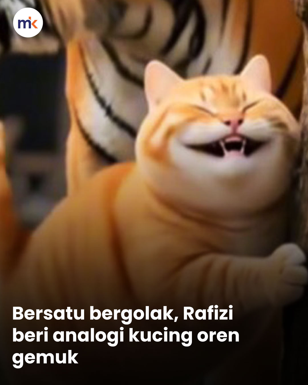 Bersatu bergolak, Rafizi beri analogi kucing oren gemuk