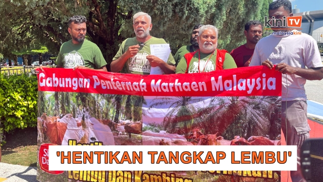 'Lembu ditangkap tak sah' - Penternak berhimpun depan SUK Selangor