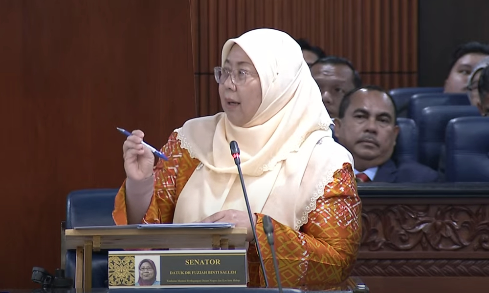 Only 34 complaints so far over Budi95 - deputy minister