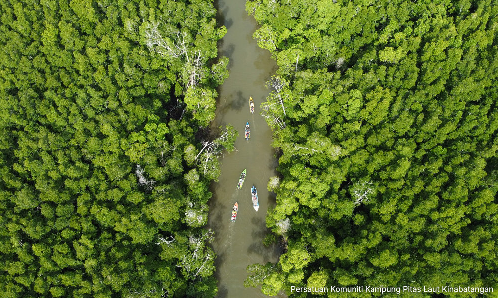 Kinabatangan villagers rue being excluded from Budi95