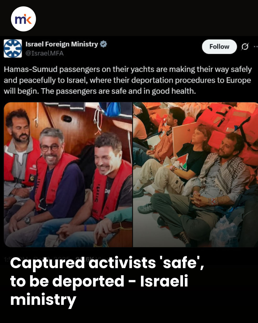 Captured activists 'safe', to be deported - Israeli ministry