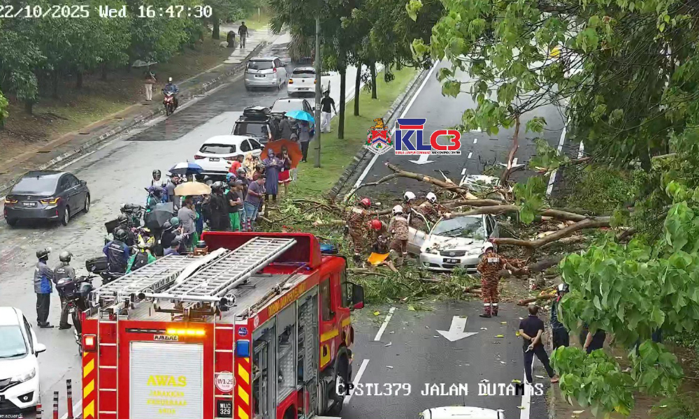 Fallen trees kill man, injure woman in separate incidents in KL