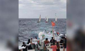 Suri rumah korban koleksi kad Pokemon demi sertai Sumud Flotila