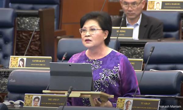 'Paralysed education system' to blame for hike in bullying, sexual crimes: MP