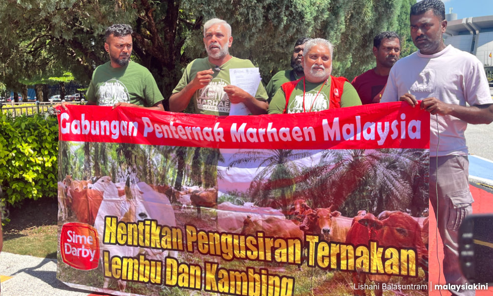Penternak serah memo kedua, dakwa operasi tangkap lembu tak sah