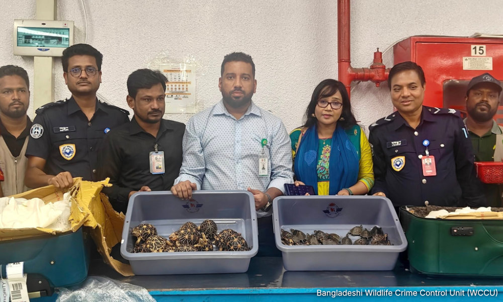 Smugglers shift to Bangladesh for smuggling wildlife into KLIA