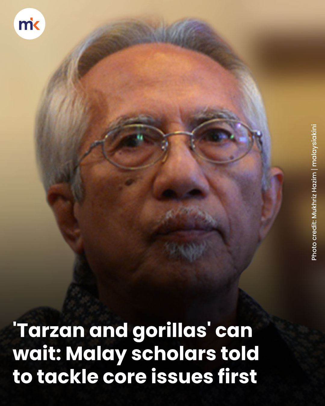 'Tarzan and gorillas' can wait: Malay scholars told to tackle core issues first