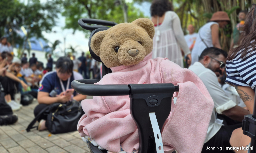Teddy bear may land at PMO if IGP snubs Indira