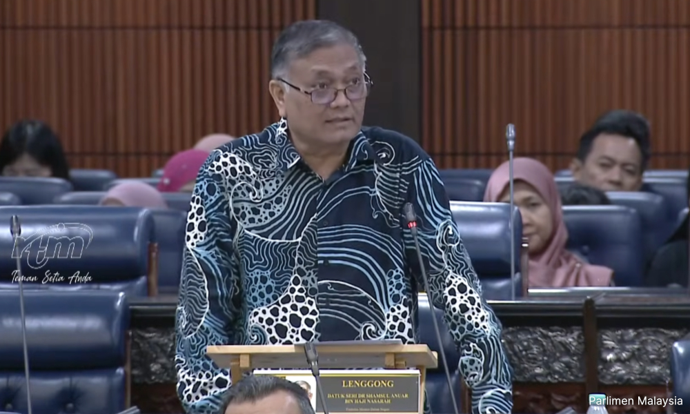 Deputy minister says M'sian flag blunders mostly mistakes, not malice