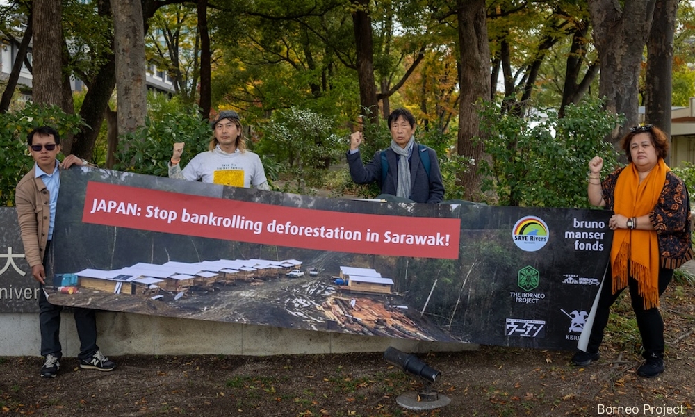 'Traitors': S'wak dept hits out at environment groups on socmed