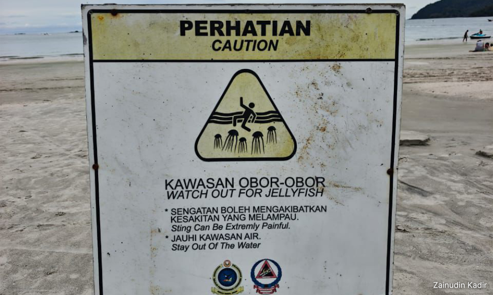 Kedah harap antidot sengatan ubur-ubur disediakan di Langkawi