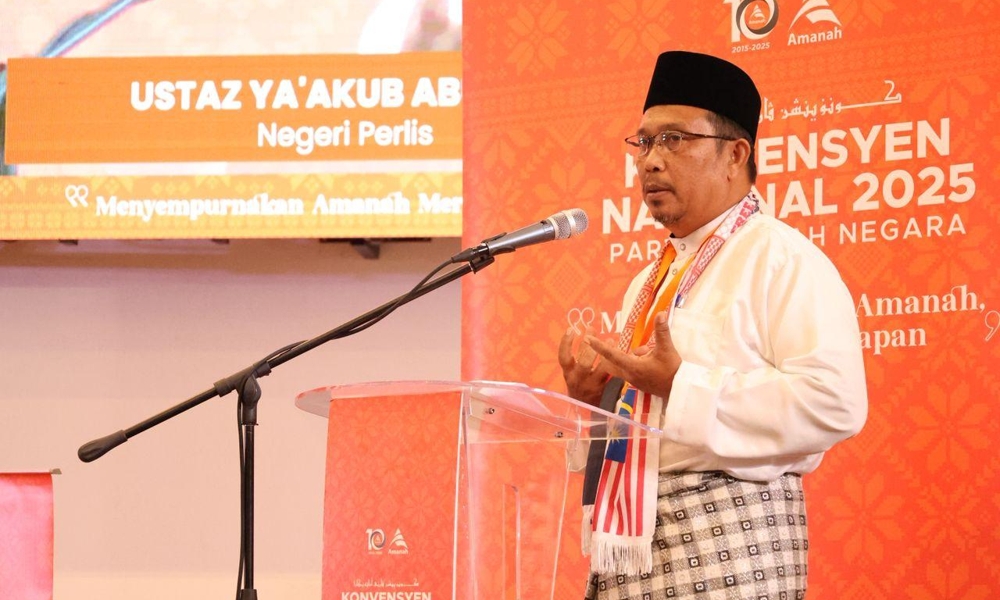 'Pointless': Perlis Amanah delegate calls for J-Kom's dissolution