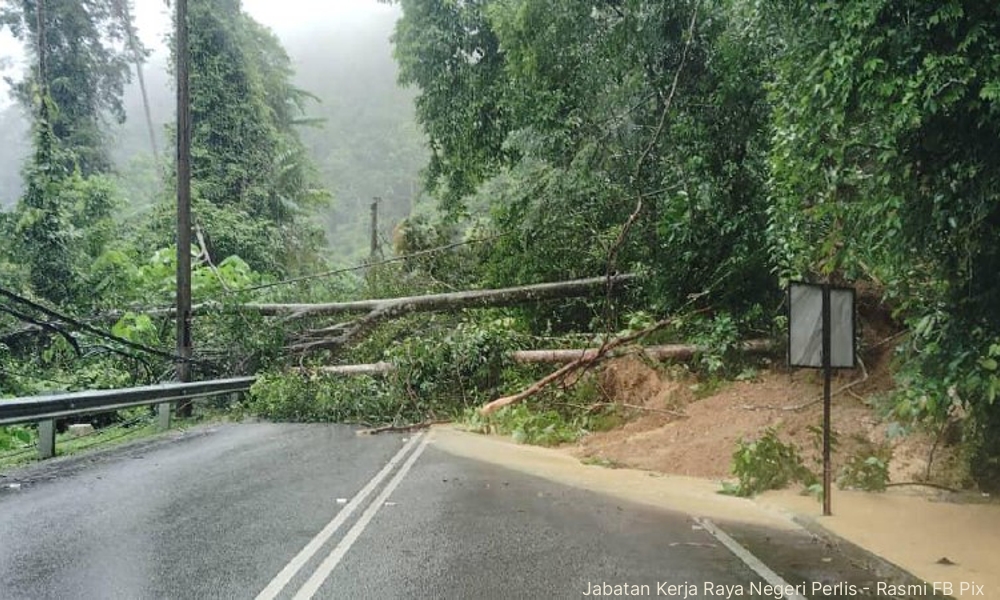 Tanah runtuh di Wang Kelian: Hampir 400 mangsa terkandas