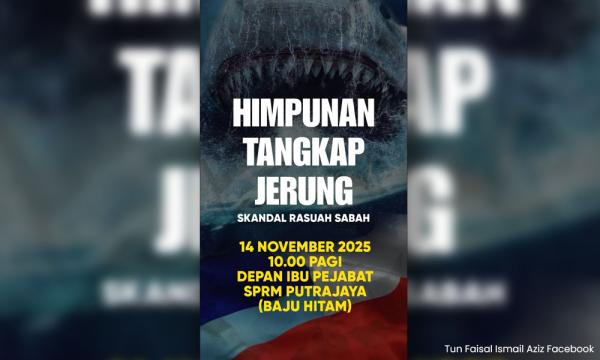 'Tangkap jerung': Albert thanks PAS and Bersatu, asks why DAP silent