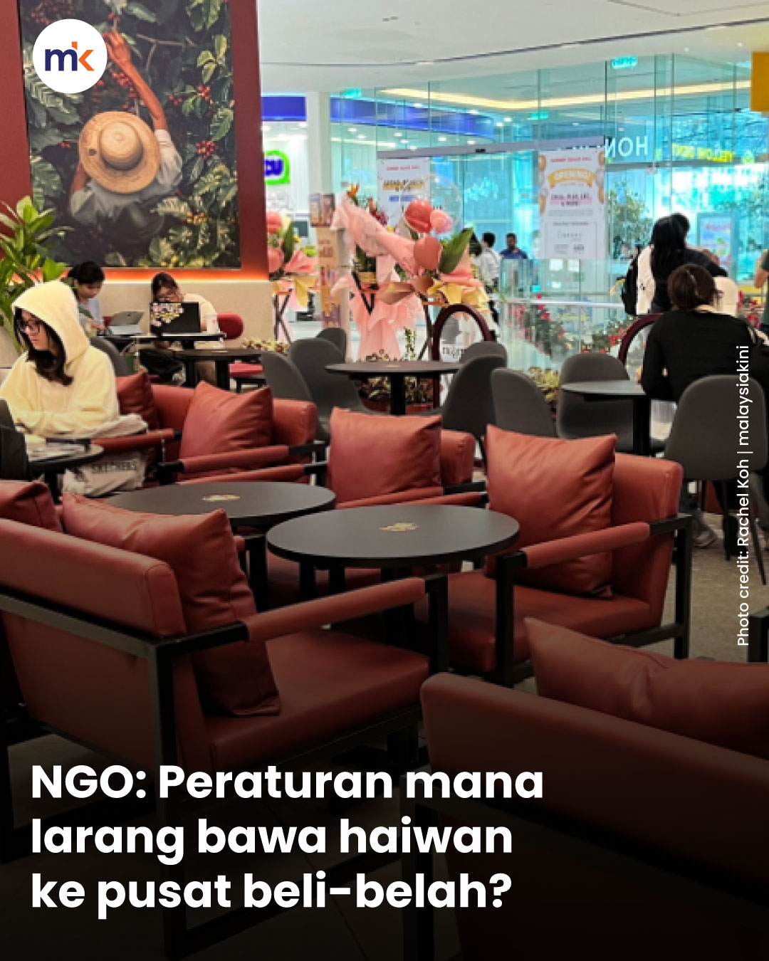 NGO: Peraturan mana larang bawa haiwan ke pusat beli-belah?