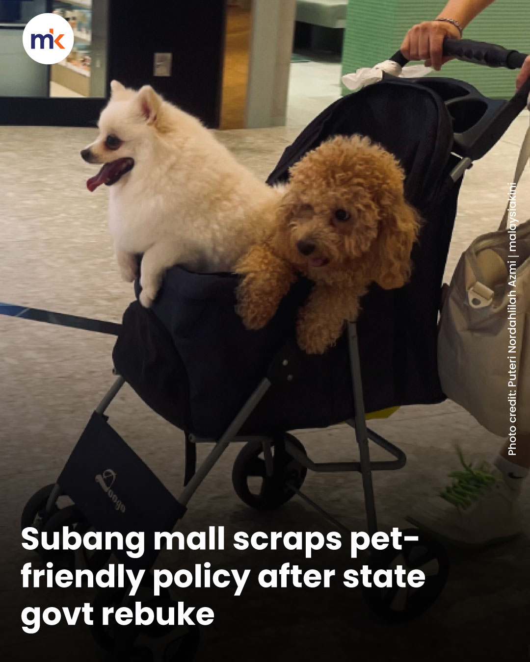 Subang mall scraps pet-friendly policy after state govt rebuke