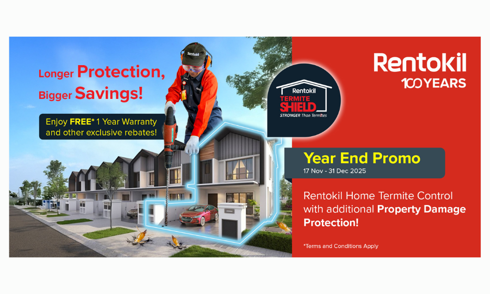 Last Chance: Save Big with This Year-End Termite Control Promo