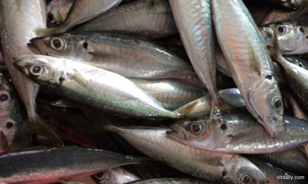 Status halal Ikan juga boleh gugur jika tempat pemprosesan tidak bersih