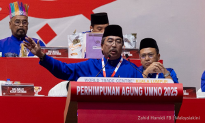 “不怕马华民政何惧行动党”，佐哈里强调马来人须团结