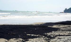 JAS: 7,000 tan arang batu cemari Teluk Kalong dibersih masa terdekat