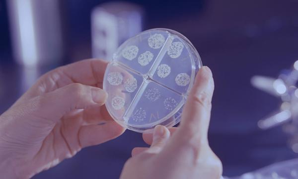 Seorang murid di Pontian disahkan dijangkiti tibi