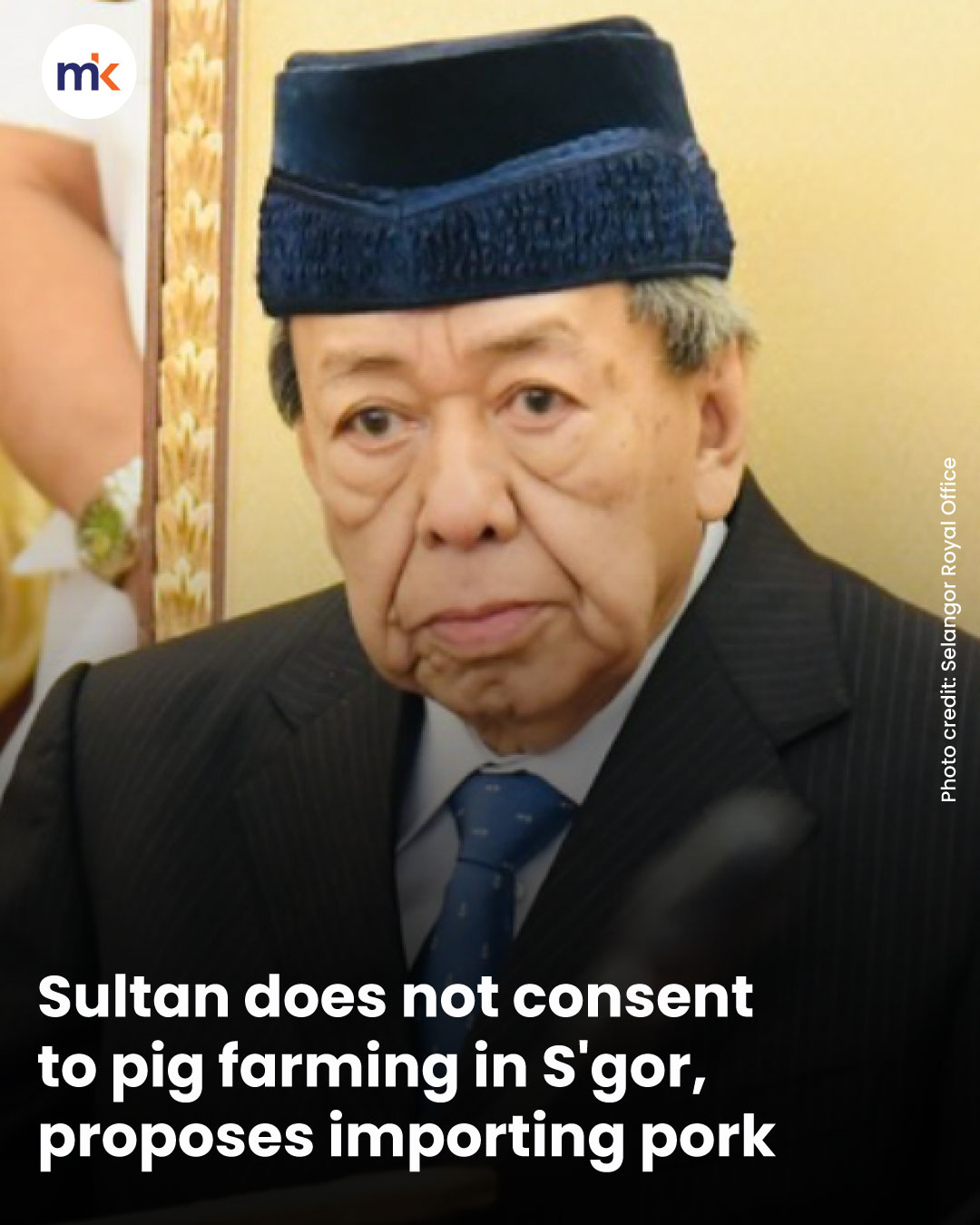 Sultan does not consent to pig farming in S'gor, proposes importing pork