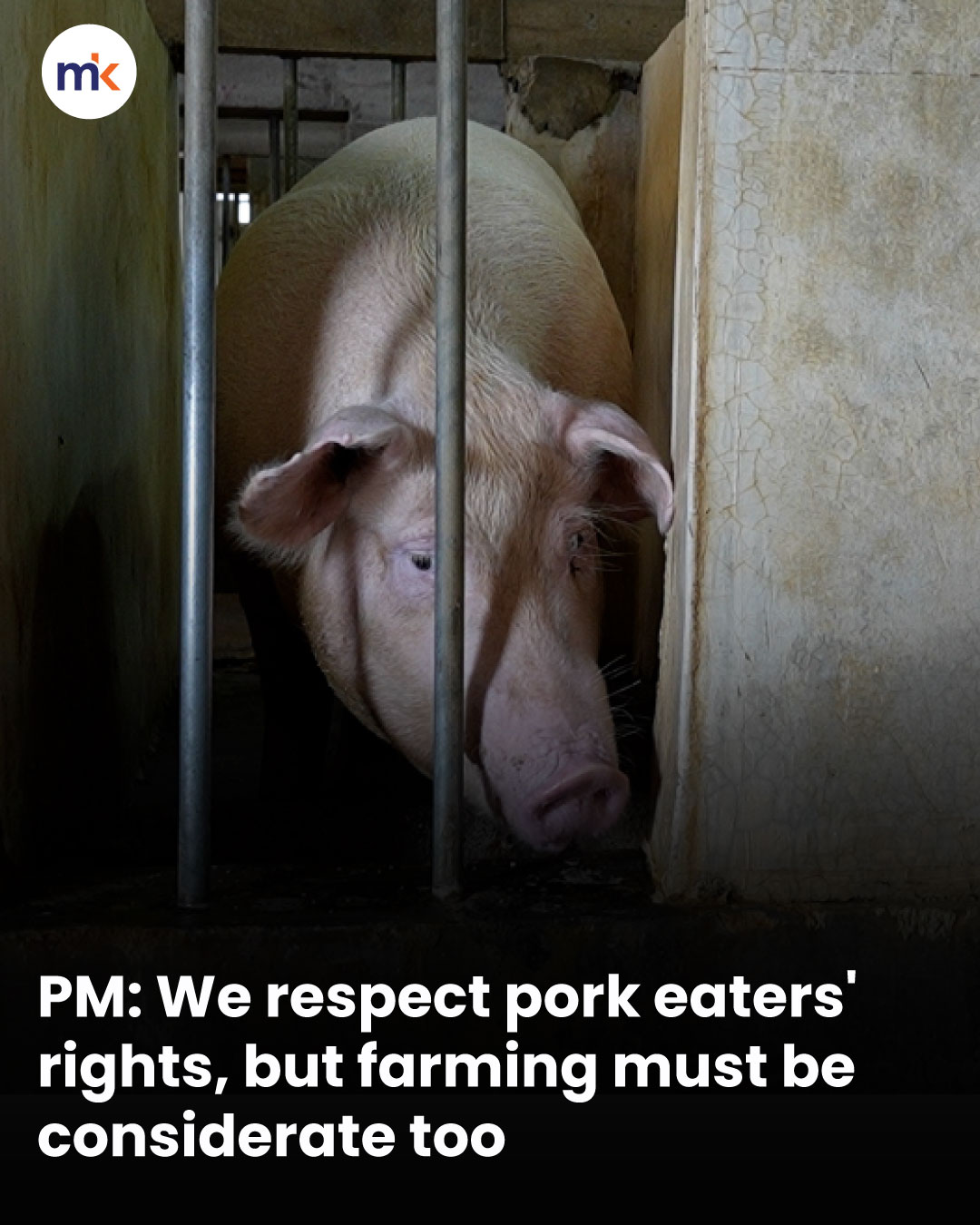 PM: We respect pork eaters' rights, but farming must be considerate too