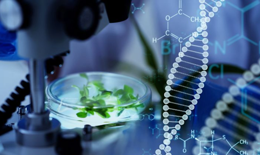 NIMP 2030: Rigorous R&D positions Malaysia as a potential biotechnology hub