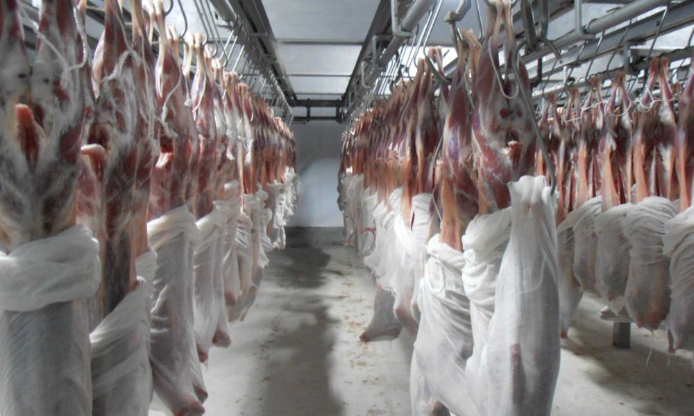 Pengeksport Pakistan buru kontrak daging halal AS$200 juta dengan Malaysia