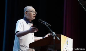 BN should go solo in Malacca, Johor polls - Wee