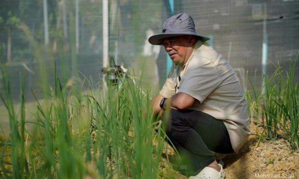 Isu subsidi diesel ke kabinet esok, tekanan kos makanan kian runcing