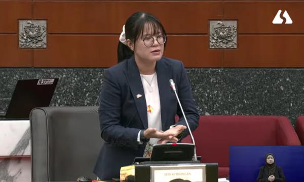 Ex-deputy law ministers back DAP rep, say pig farming proposal not defying sultan's decree