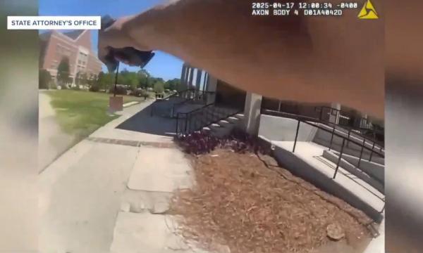 Florida AG: 'If ChatGPT were a person, it would be facing murder charges' 3 h ago